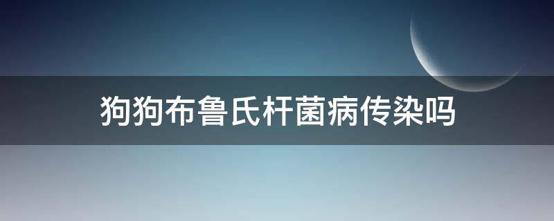 布鲁氏菌病狗狗会传染吗 狗狗布鲁氏杆菌病传染吗