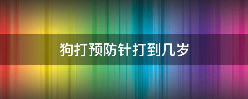 狗多大开始打预防针 狗打预防针打到几岁