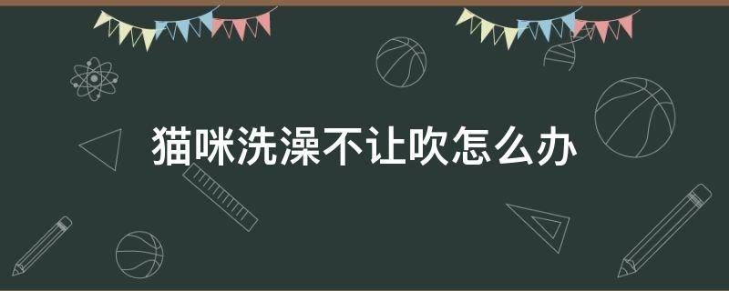 猫咪洗澡不让吹怎么办 猫咪洗澡后不让吹怎么办