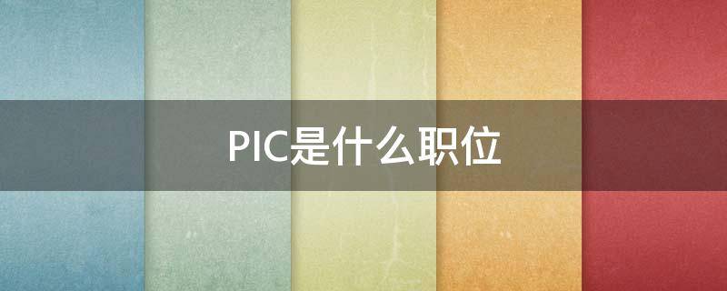 picc职位 PIC是什么职位