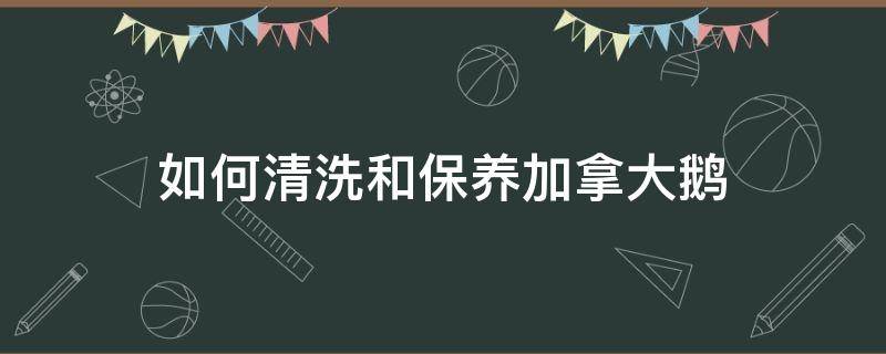 加拿大鹅如何干洗 如何清洗和保养加拿大鹅