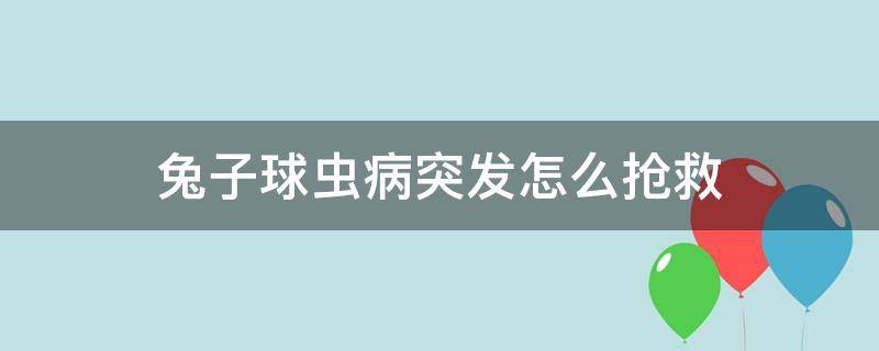 兔子球虫病应急处理 兔子球虫病突发怎么抢救