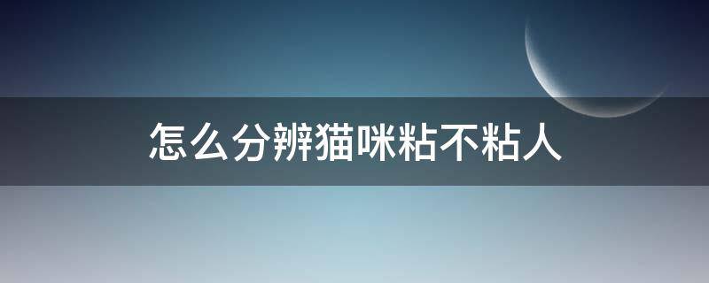 怎么分辨猫咪粘不粘人 怎么判断一只猫粘不粘人