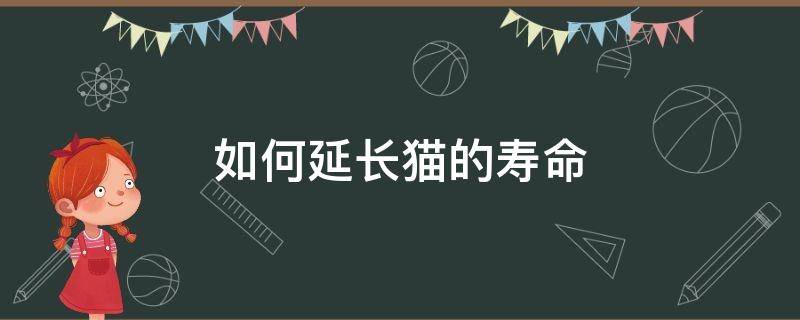 养猫延长人寿命 如何延长猫的寿命