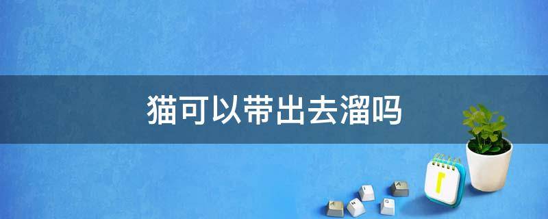 宠物猫能带出去溜吗 猫可以带出去溜吗