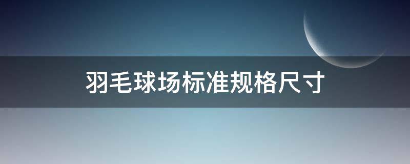 羽毛球场标准规格尺寸 羽毛球场 标准尺寸