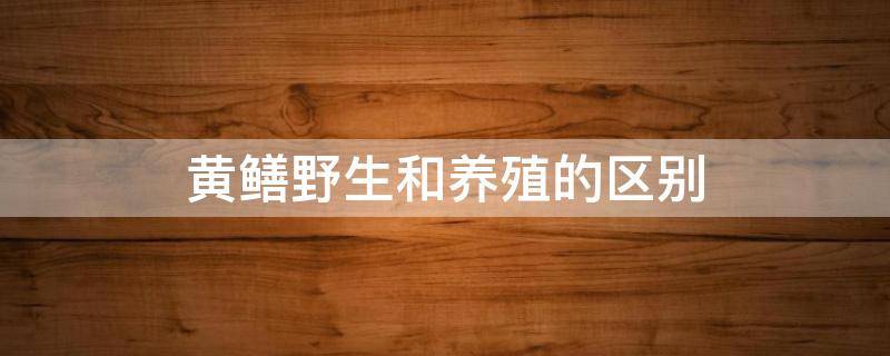 黄鳝野生和养殖的区别 野生黄鳝和养殖黄鳝有什么区别