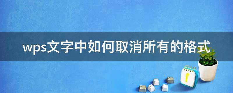 wps文档取消所有格式 wps文字中如何取消所有的格式