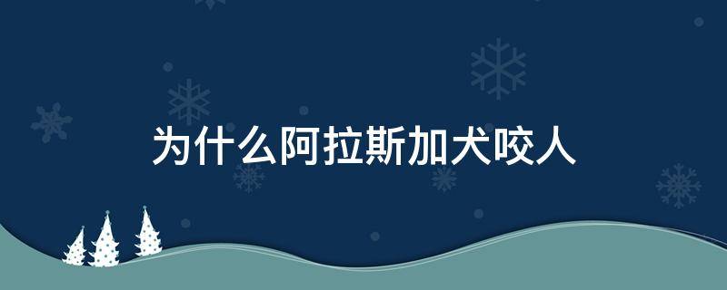 为什么阿拉斯加犬咬人 阿拉斯加狗会不会咬人