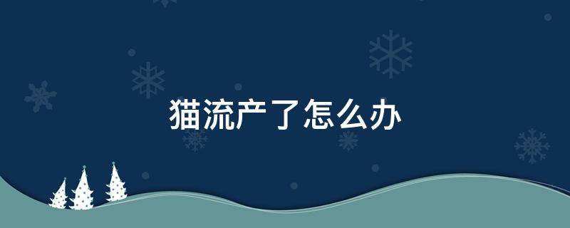 猫流产了怎么办 家猫流产了怎么办