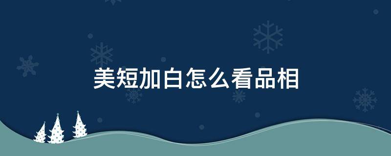 美短加白怎么看品相 美短加白怎么看品相图解