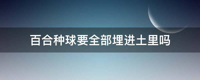 百合种球要全部埋进土里吗 种百合球需要全埋进土里吗