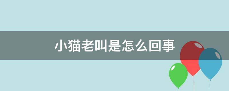 小猫老叫是怎么回事 小猫老叫是怎么回事儿