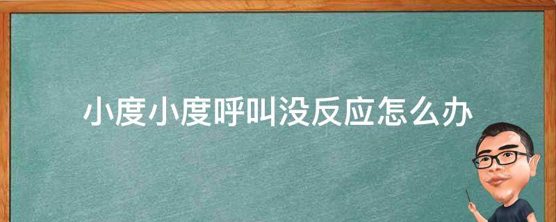 呼叫小度没应答怎么办 小度小度呼叫没反应怎么办