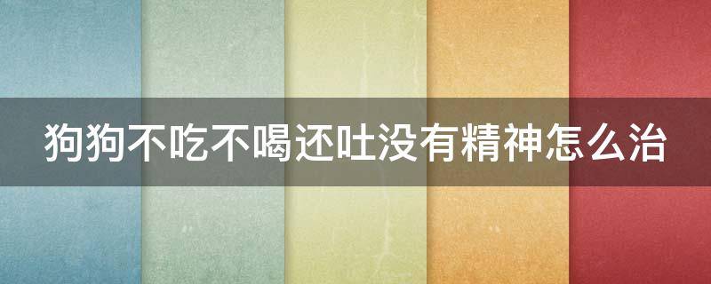 我家狗狗不吃不喝没精神怎么回事还呕吐了 狗狗不吃不喝还吐没有精神怎么治