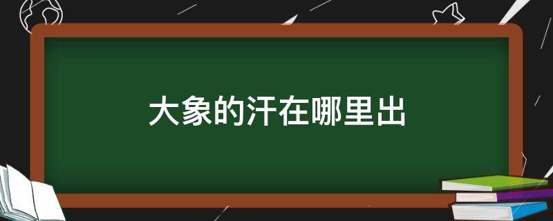 大象的汗在哪里出 大象的汗在哪里?