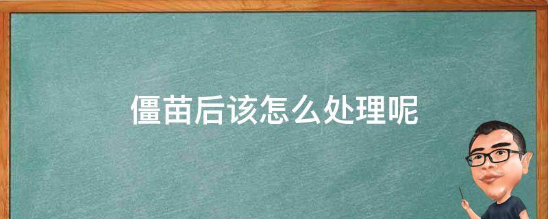 苗木僵苗后该怎么处理 僵苗后该怎么处理呢