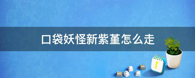 口袋妖怪新紫堇怎么走最后的 口袋妖怪新紫堇怎么走