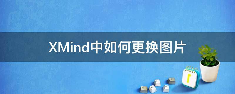 xmind能导入图片吗 XMind中如何更换图片