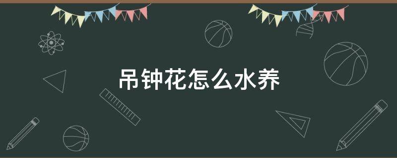 吊钟花怎么水养 吊钟花怎么养殖方法水培