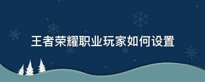 王者荣耀职业玩家如何设置 王者职业选手怎么设置里面的设置