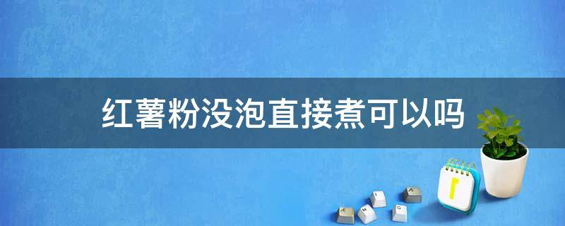 红薯粉没泡直接煮可以吗（红薯粉直接煮还是要泡了再煮）