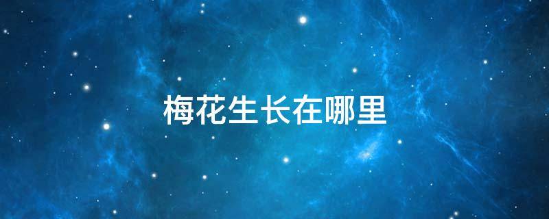 梅花生长在哪里 梅花生长在哪里什么生长条件请用科学语言