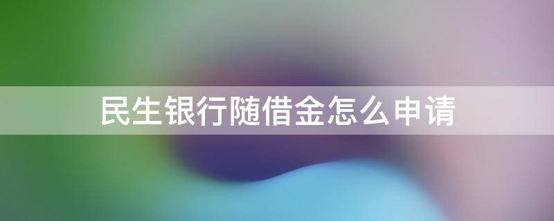 民生随借金好申请吗 民生银行随借金怎么申请