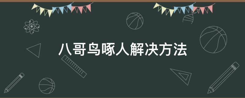 八哥鸟啄食啄不准咋回事 八哥鸟啄人解决方法