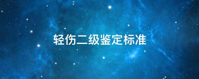 轻伤二级鉴定标准 人体轻伤二级鉴定标准