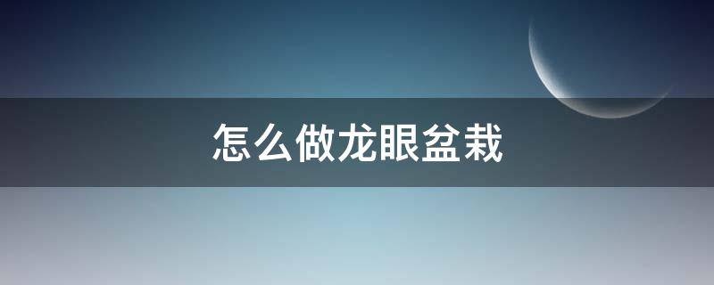 怎么用龙眼籽制作盆栽 怎么做龙眼盆栽