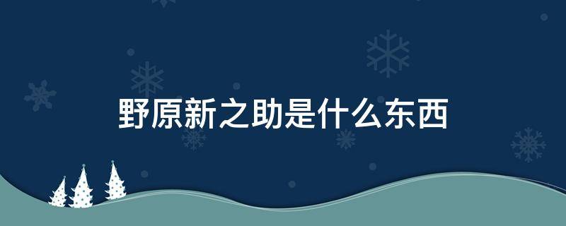 野原新之助是什么东西 原野新之助的