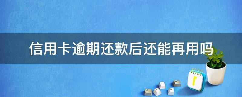 为什么信用卡逾期半年钱还了怎么还能用 信用卡逾期还款后还能再用吗