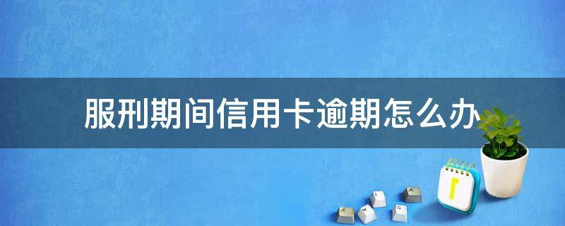 服刑期间信用卡逾期怎么办和网贷怎么办 服刑期间信用卡逾期怎么办