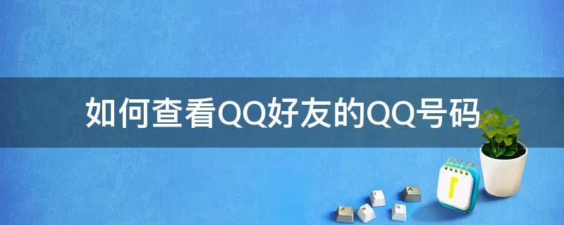 如何查看QQ好友的QQ号码 怎样查看好友的qq号码