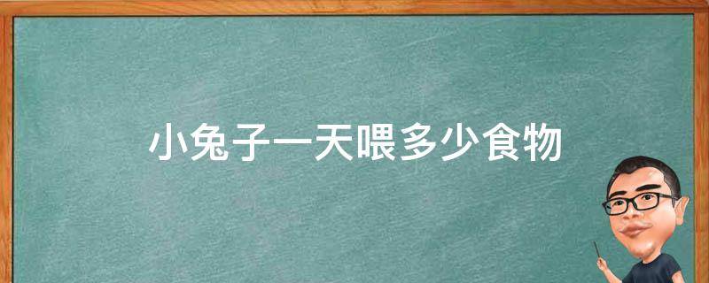 小兔子一天喂多少食物 宠物兔子怎么喂食物,一天喂多少