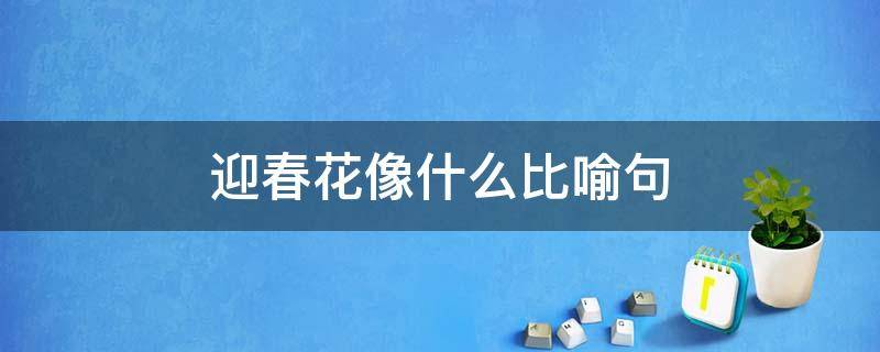 迎春花像什么比喻句和拟人句 迎春花像什么比喻句