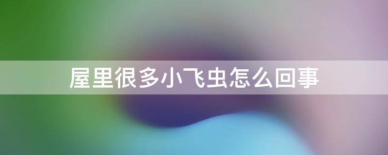 屋里很多小飞虫怎么回事 屋里好多小飞虫怎么回事