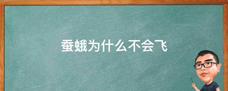 蚕蛾为什么不会飞（蚕蛾为什么不会飞也不会吃?）