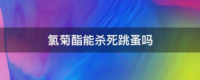 氯菊酯能杀死跳蚤吗（菊酯类能杀死跳蚤吗）