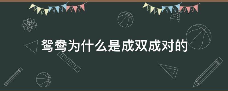 鸳鸯为什么是成双成对的 鸳鸯成双成对是什么的象征