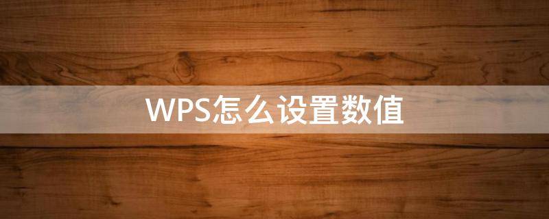 WPS怎么设置数值（wps怎么设置数值型）