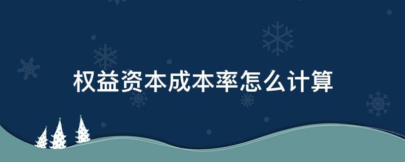 权益资本成本率的计算公式 权益资本成本率怎么计算