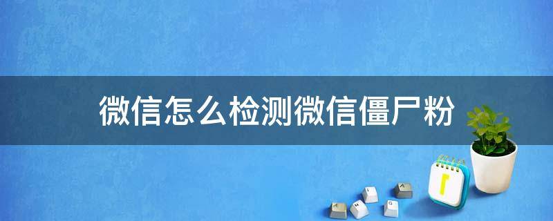 如何用微信检测僵尸粉 微信怎么检测微信僵尸粉