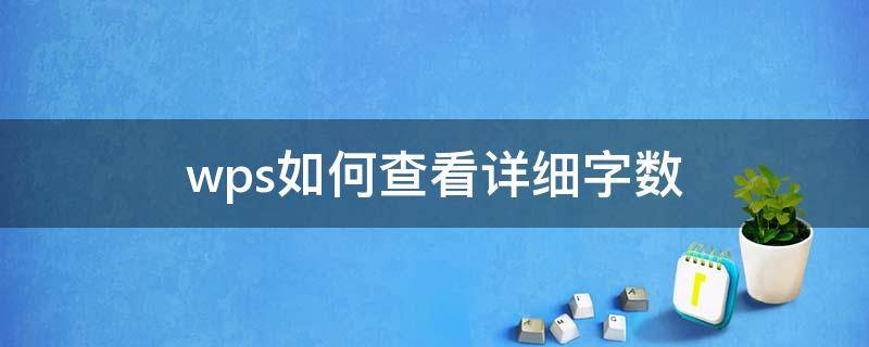 如何查看wps的字数 wps如何查看详细字数