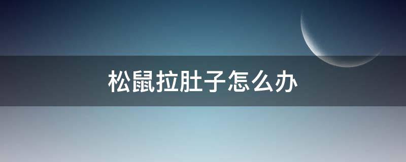 松鼠拉肚子怎么办 魔王松鼠拉肚子怎么办