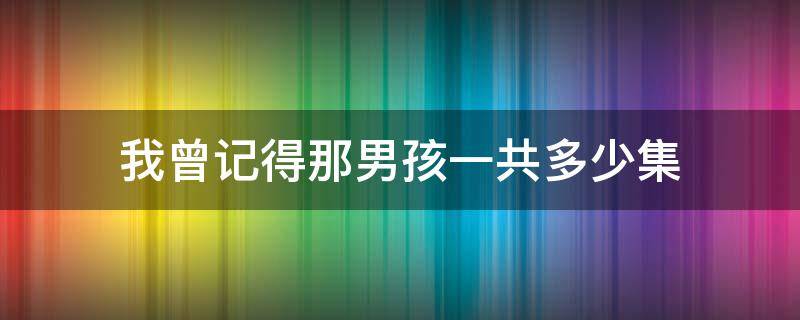 我曾记得那男孩一共多少集 我曾记得那男孩有多少集