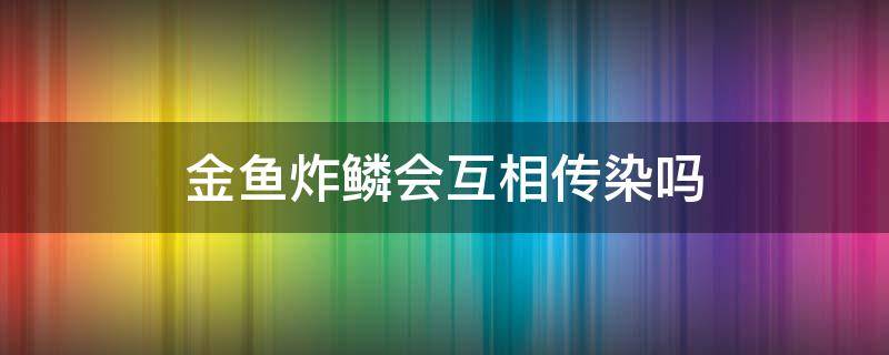 金鱼炸鳞会互相传染吗 金鱼炸鳞会不会传染