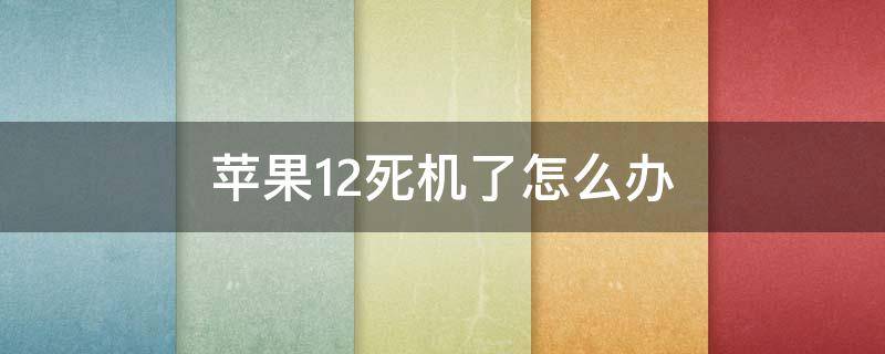 苹果12死机了怎么办 苹果 12 死机