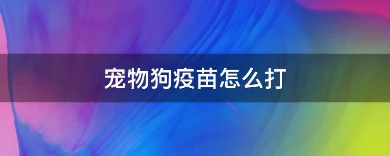 宠物狗疫苗怎么打 宠物狗打疫苗怎么打